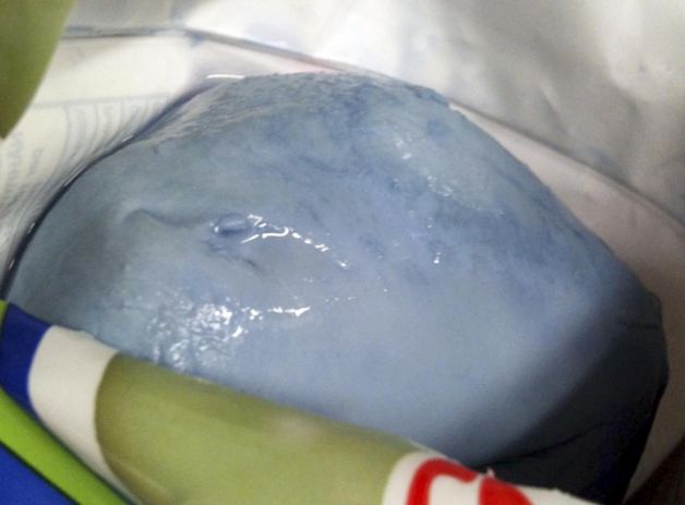 Mozzarella blu: la Coldiretti annuncia un calo nelle vendite del 50%